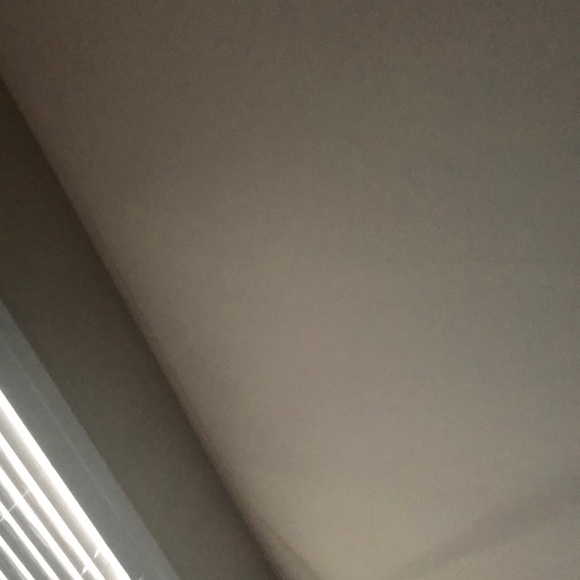 Meet your Posher, Patrick - Picture 1 of 1